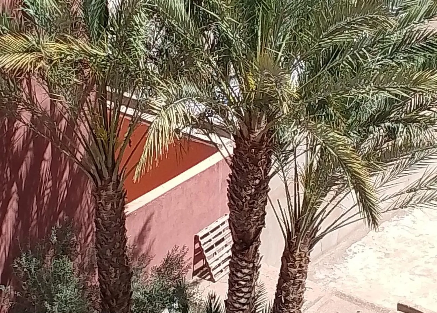 Majorelle Medina Comfortable Apartment Marrakesh Riad
